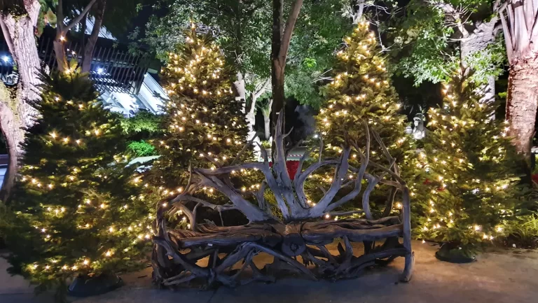 Garden By The Bay – XMas Trees